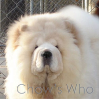 Chow's Who