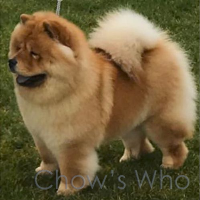 Chow's Who