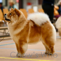 Chow's Who