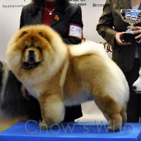 Chow's Who