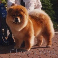 Chow's Who