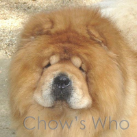 Chow's Who