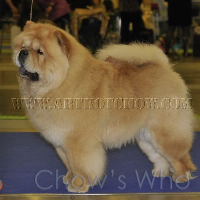Chow's Who