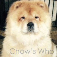 Chow's Who