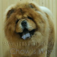 Chow's Who