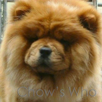Chow's Who