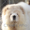 Chow's Who