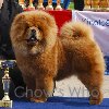 Chow's Who