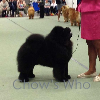 Chow's Who