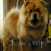 Chow's Who