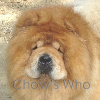 Chow's Who