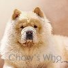 Chow's Who