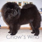 Chow's Who