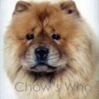 Chow's Who