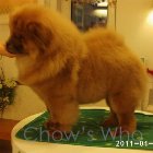 Chow's Who