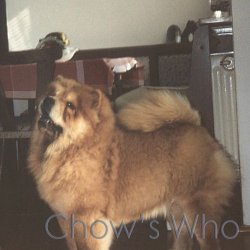 Chow's Who