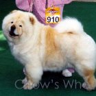 Chow's Who