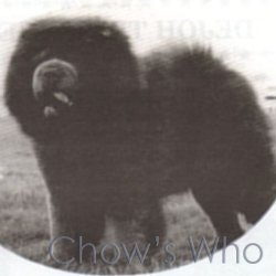 Chow's Who