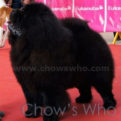 Chow's Who