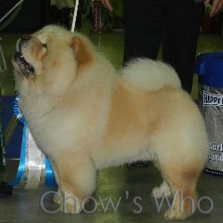 Chow's Who