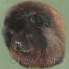 Chow's Who