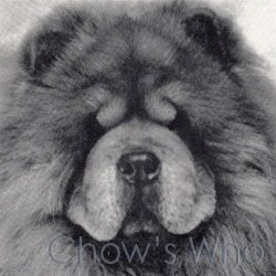 Chow's Who