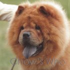 Chow's Who