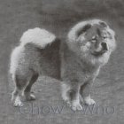 Chow's Who