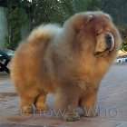 Chow's Who