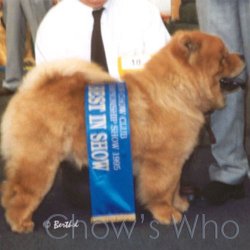 Chow's Who