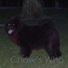 Chow's Who