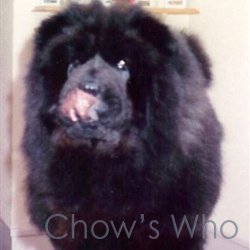 Chow's Who