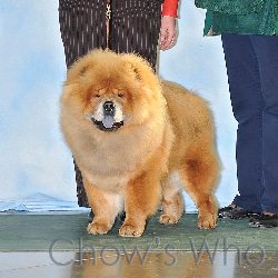 Chow's Who