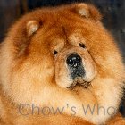 Chow's Who