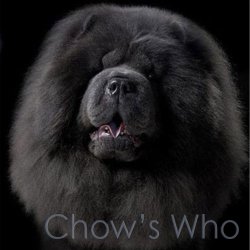 Chow's Who