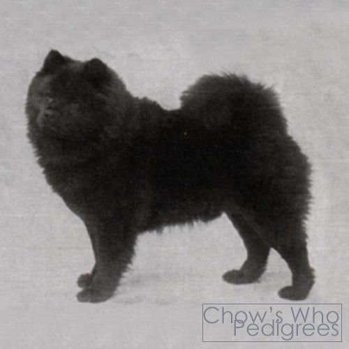 Chow's Who
