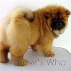 Chow's Who