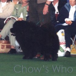 Chow's Who
