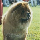 Chow's Who
