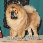Chow's Who
