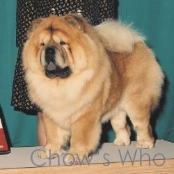 Chow's Who