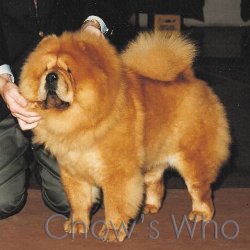 Chow's Who