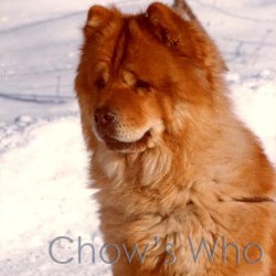 Chow's Who