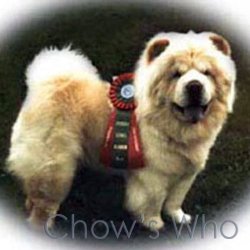 Chow's Who