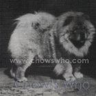 Chow's Who