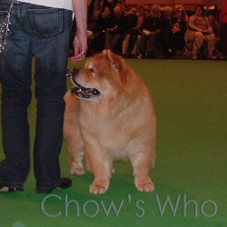 Chow's Who