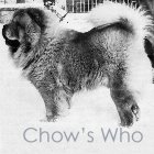 Chow's Who