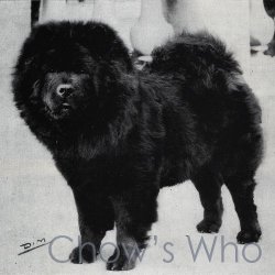 Chow's Who