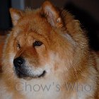 Chow's Who
