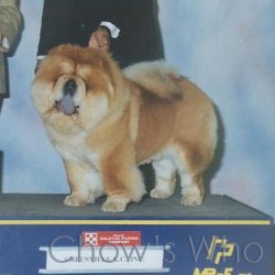 Chow's Who
